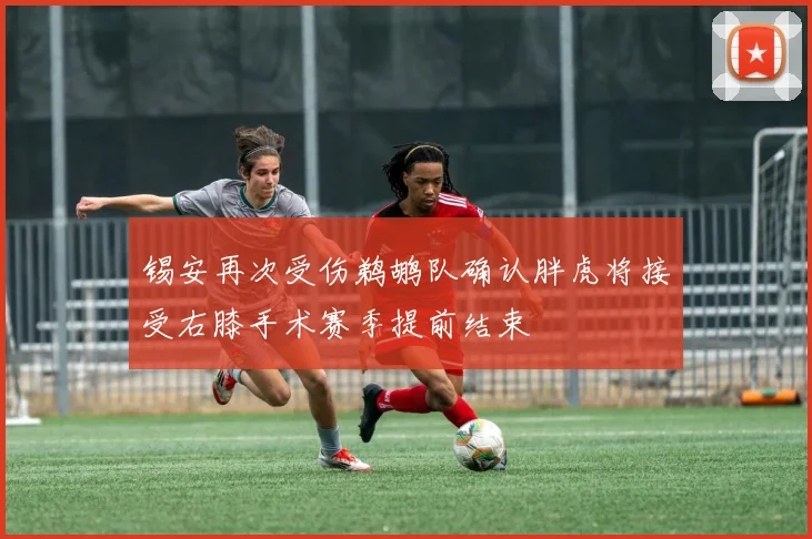 锡安再次受伤鹈鹕队确认胖虎将接受右膝手术赛季提前结束