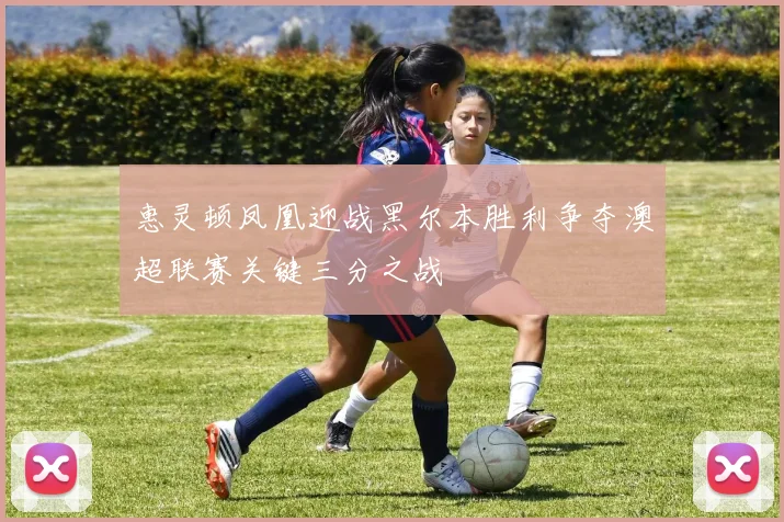 惠灵顿凤凰迎战黑尔本胜利争夺澳超联赛关键三分之战