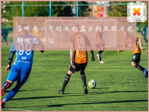 黄蜂与公牛对决初盘分析及双方近期状态评估