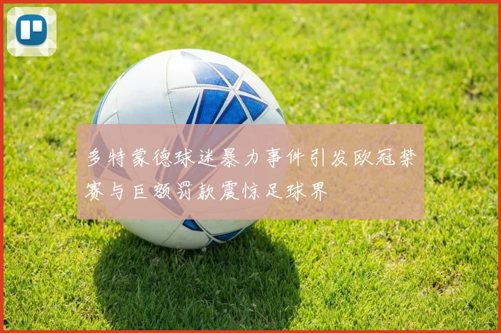 多特蒙德球迷暴力事件引发欧冠禁赛与巨额罚款震惊足球界